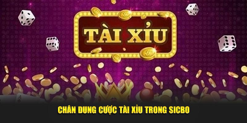 Chân dung cược Tài Xỉu trong Sicbo hello88